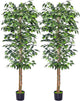 HAIHONG 2Packs 6FT Artificial Ficus Trees with Realistic Leaves and Natural Trunk, Faux Ficus Tree with Sturdy Plastic Nursery Pot, Fake Ficus Tree for Office Home Farmhouse for Indoor Outdoor Decor