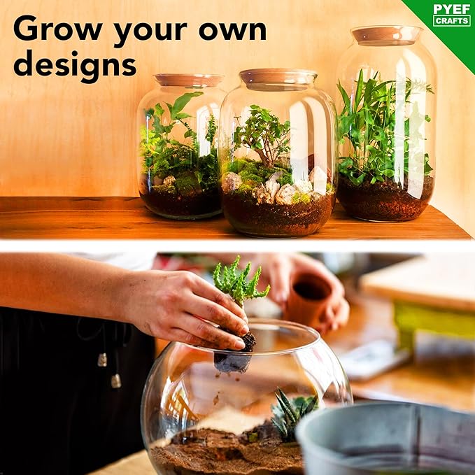 PYEF CRAFTS DIY Terrarium Kit for Plants – Build a Self‑Sustaining Closed Ecosystem – Supplies for Up to 68 oz (1‑2 Liter) Glass Jar – Succulents, Air Plants (Tillandsia), Fern – Jar Not Included