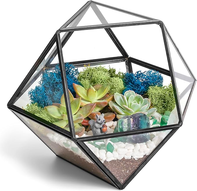 Creations by Nathalie DIY 7" Geometric Terrarium Kit with Live Plants - Build Your Own Glass Terrarium for Adults & Kids with Moss, Crystals, Tools & Decor - Mini Ecosystem - Handcrafted in The USA