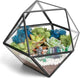 Creations by Nathalie DIY 7" Geometric Terrarium Kit with Live Plants - Build Your Own Glass Terrarium for Adults & Kids with Moss, Crystals, Tools & Decor - Mini Ecosystem - Handcrafted in The USA