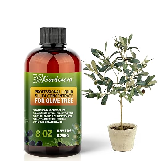 𝐏𝐑𝐄𝐌𝐈𝐔𝐌 Liquid Silica Plant Supplement - 8oz (250mL) - Olive Tree Plants Liquid Silica Boost Fertilizer - Stronger Stems & Healthy Leaves for Indoor & Outdoor Olive Trees (Makes 45 Gallons)
