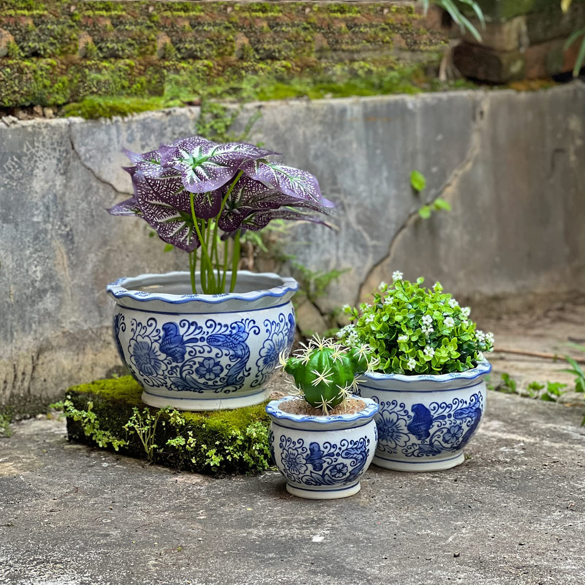 Blue and White Planters, Ceramic Plant Pots Indoor with Drainage, Set of 3
