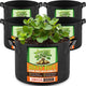 Jorvila 5 Pack 10 Gallon Grow Bags, Thickened Nonwoven Fabric Planter Pots with Handles, Heavy Duty 300G Garden Pots for Tomato, Potato and Vegetable