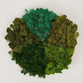 prefleur Preserved Reindeer Moss Natural Green DIY Kit Gardenning Art Wall Decor Florist Decor Easter Table Decor Wedding