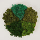 prefleur Preserved Reindeer Moss Natural Green DIY Kit Gardenning Art Wall Decor Florist Decor Easter Table Decor Wedding