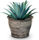 Headwind Glazed Ironstone Vanhorne Collection – 12" Luna Brown Decorative Plant Pot – Lightweight & Triple Coated w/Drainage Flower Pots for Indoor Plants & Outdoor Planter Use by Robert Allen