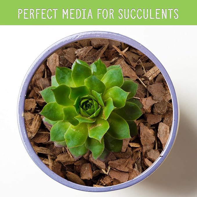 Houseplant Mulch (8 Quarts), Small Bark Wood Chips for Indoor, Patio, Potting Media, and Much More!
