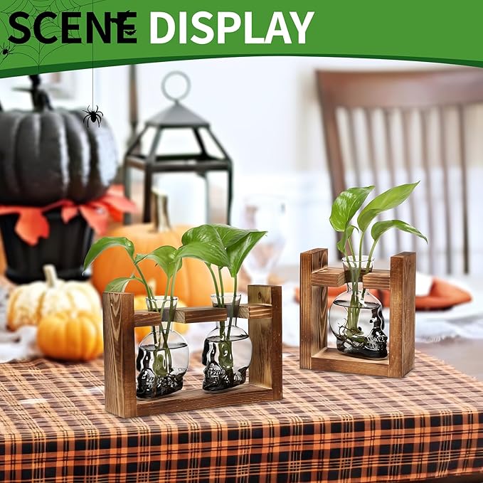 2+1 Plant Terrarium Plant Propagation Station Gifts for Father Halloween Skull Home Office Decor with Wooden Stand