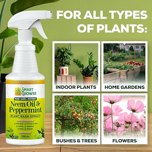 Neem Oil Spray for Plants with Peppermint Oil, Natural Plant Wash Made for Indoor and Outdoor Plants Smart Grower 32oz Easy Ready to Use Spray