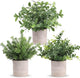Der Rose 3 Pack Mini Potted Fake Plants Artificial Plastic Eucalyptus Plants Centerpieces for Table Home Office Desk Accessories Farmhouse Room Classroom Decor