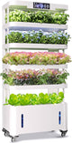 Large Hydroponics Growing System, 148-Pod Vertical Indoor Garden, Hydroponic Tower with Full-Spectrum Grow Lights, Ultra-Quiet Pump, Dual Water Tanks, 30-Day Self-Managed for Home & Commercial