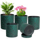 Meowell 7/6.5/6/5/4 inch Plant Pots, 5 Pack Cylinder Flower Pots for Small Indoor Outdoor Plants, Plastic Planters with Drainage Holes and Saucer for Garden Succulent Plants, Black With Green Speckles