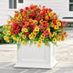 Pinenoya Artificial Faux Plants Flowers Outdoor Decoration,18 Bundles Fake Silk Colorful Daisy Eucalyptus Realistic UV Resistant for Outside Home Planter Porch Patio Yard Decor (Yellow Red)