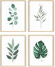 HAUS AND HUES Plant Wall Art - Botanical Prints, Green Wall Art Collection Set, Leaves Paintings Minimalist Sage Green Wall Decor (Beige Frame, 11x14)