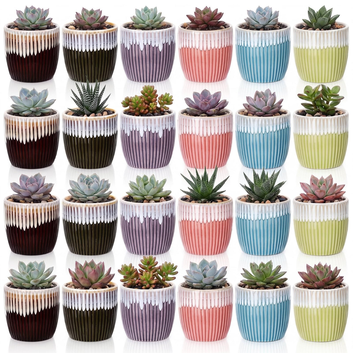 Ferrochef 24 Pcs 2.7 Inch Small Succulent Plant Ceramic Pot with Drainage Hole, Cute Mini Succulent Pots for Plants, Succulents, Cactus, DIY Easter Spring Craft Activity, 6 Colors(Color Blocking)