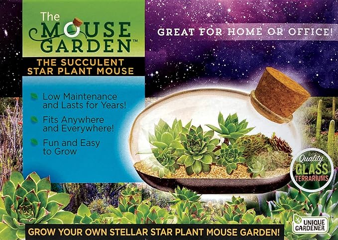 Grow Your Own Succulent Star Plant Mouse with Our Glass Terrarium Starter Kit - Fun and Easy to Grow with Complete Supplies - Plant A Mouse Garden That Will Last for Years - Great for Home Or Office