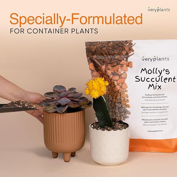 Molly's Succulent Mix - Premium Gritty Soilless Potting Mix for Succulents, Cactus and Bonsai - Contains Akadama, Hyuga, Bark Fines, Pumice, Lava Rock, Mycorrhizae 5 Dry Quarts