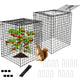 Metal Plant Cages for Outdoor Plants, Garden Cloches for Plants Rustproof