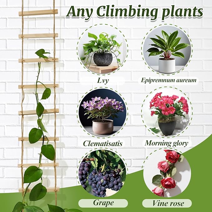 Chain Trellis for Climbing Plants Indoor – Natural Wood Ladder Style Plant Support for Vines, Ideal for Pothos & Ivy, Stylish Modern Design for Home & Garden Use, Indoor/Outdoor