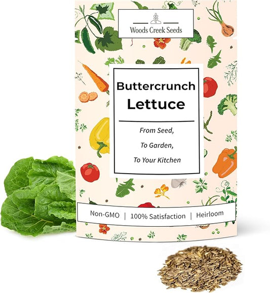 Buttercrunch Heirloom Lettuce Seeds for Planting - Over 2,700 Non-GMO Seed Pack for Indoors, Outdoors, or as Hydroponic Seeds - Beginner-Friendly Green Leaf Lettuce Seed | Woods Creek Seeds
