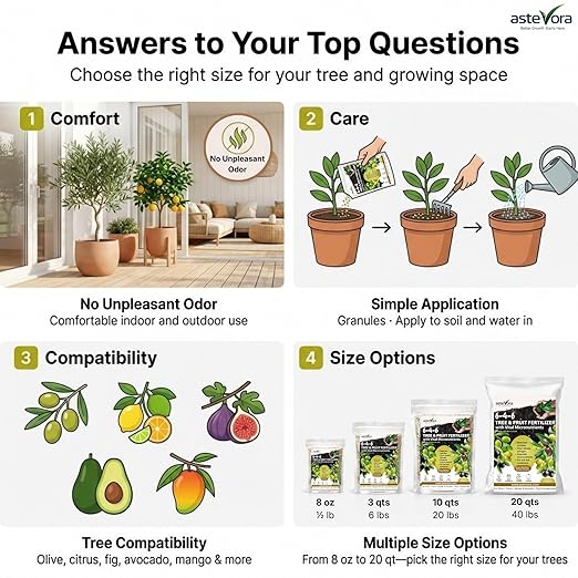 Olive Tree Fertilizer – Fruit Tree Fertilizer for Olive Tree, Citrus, Lemon, Lime, Fig, Avocado, Mango, Apple & Pomegranate – for Potted & Outdoor Trees (2 quarts - 4 lbs.)