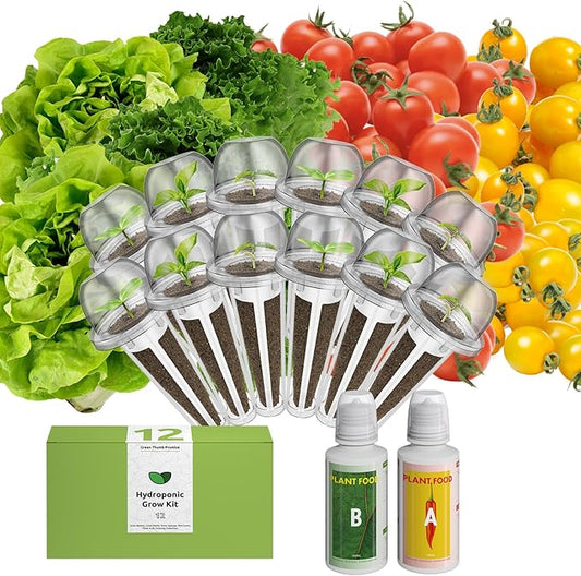 inbloom Organic Salad Seed Pod Kit for AeroGarden, Ahopegarden Hydroponics Growing System,Low-Calorie Food, 12-Pods (350+ Seeds, Include Fast and Butter Lettuce, Red Cherry and Golden Cherry Tomato)