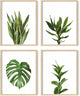 HAUS AND HUES Plant Wall Art - Set of 4 Green Plant Pictures Collection, Botanical Prints, Sage Green Leaves Paintings, Minimalist Wall Decor (11x14, Beige Frame)