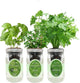 Environet Hydroponic Herb Growing Kit Set, Self-Watering Mason Jar Herb Garden Starter Kit Indoor, Windowsill Herbs Garden, Grow Your Own Herbs from Organic Seeds (Basil, Mint, Parsley)