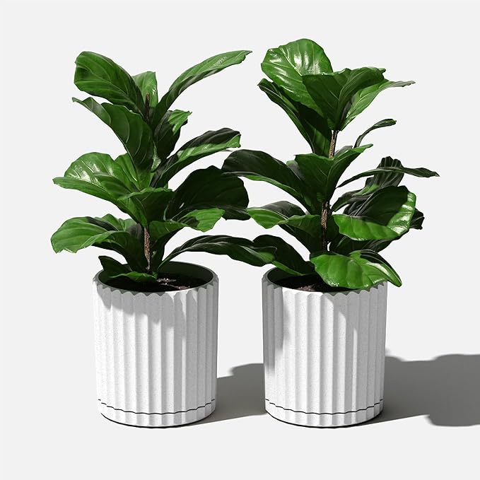 Veradek Demi Series Demi 6" Planter w/Tray - White, 2 Pack