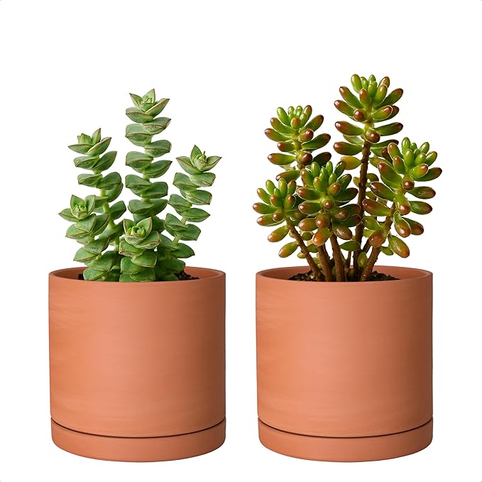 D'vine Dev Small 5 Inch Terracotta Plant Pot with Drainage Hole and Saucer, Round Cylinder Planter Pot for Indoor Plants, Set of 2, 40-X-B-2