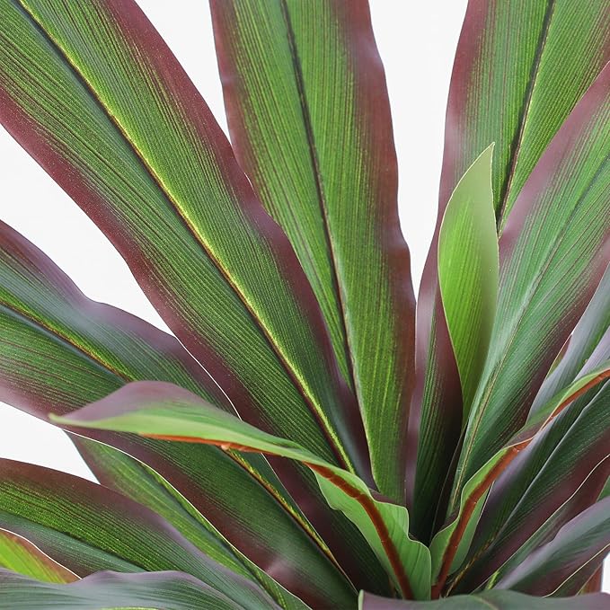 FLOWORLD Dracaena Artificial Plant 6ft Red Yucca Silk Tree Faux Plants Indoor Tall Fake House Floor Plants Realistic Artificial Trees for Home Office Decor Indoor Outdoor Housewarming Gift