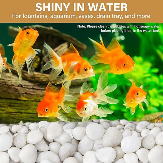 NUPICK 16lb White River Rocks for Outdoor Landscaping, 1-2 Inch Pebbles for Indoor Plants, Natural Polished Aquarium Gravel, Decorative Rocks for Succulent, Garden, Vases Fillers, Bird Baths