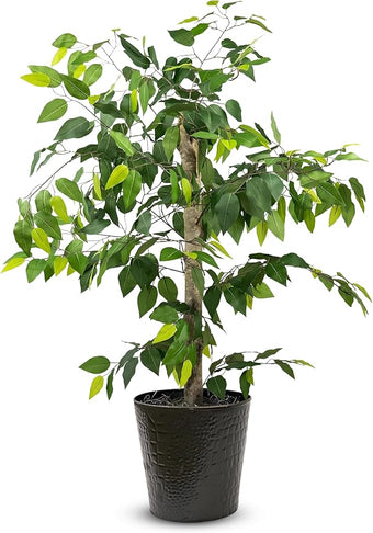 LCG Florals 4ft Ficus Tree in Black Metal Pot with Real-Wood Trunk - Indoor and Outdoor Faux Plants for Patio, Living Rooms, Offices & Outdoor Spaces