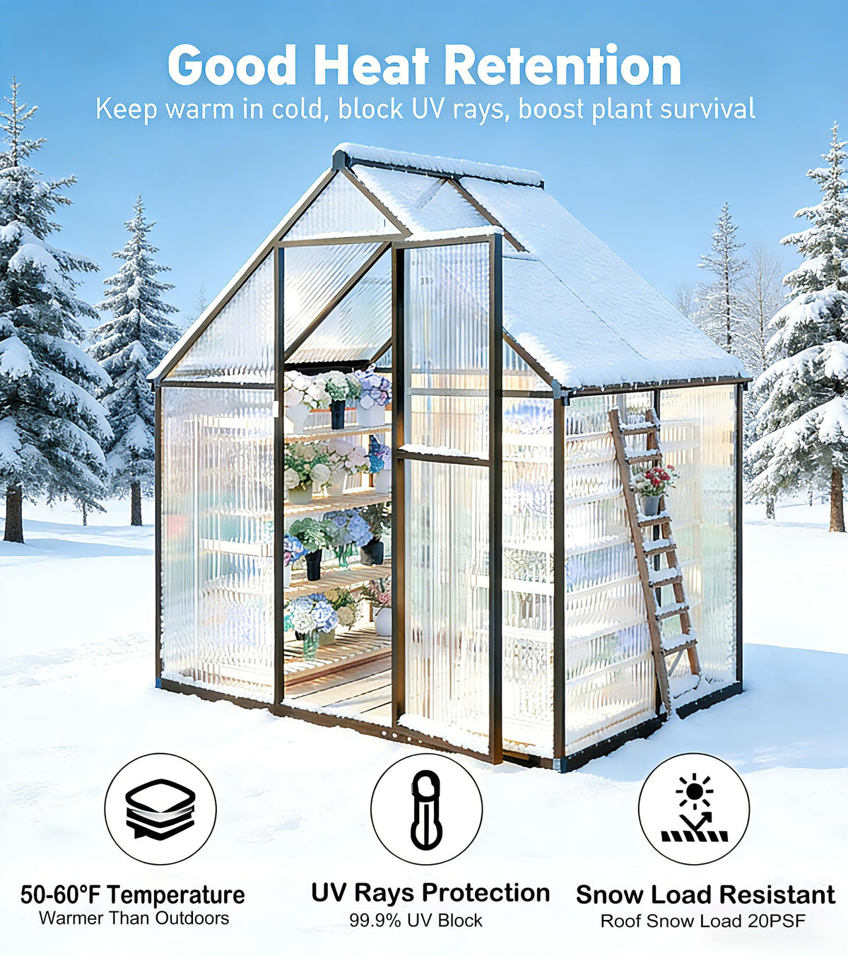 Jiliusure 6x4 FT Greenhouse with Polycarbonate Panels Vent, Dark Gray
