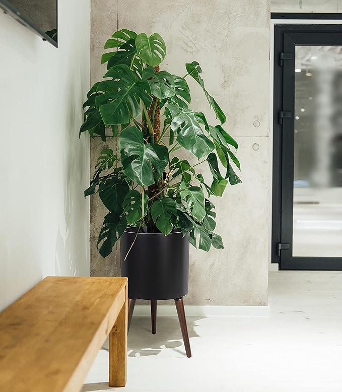 D'vine Dev 14 Inch Planter Pot with Stand, Mid-Century Tall Plant Pot with Legs for Indoor Plants, X-Large, Black, 88-O-D-2