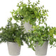 Briful 3PCS Fake Plants Potted Artificial Plants Greenery Faux Fern Eucalyptus Décor Plant for Indoor Home Office Bathroom Harmhouse Decoration