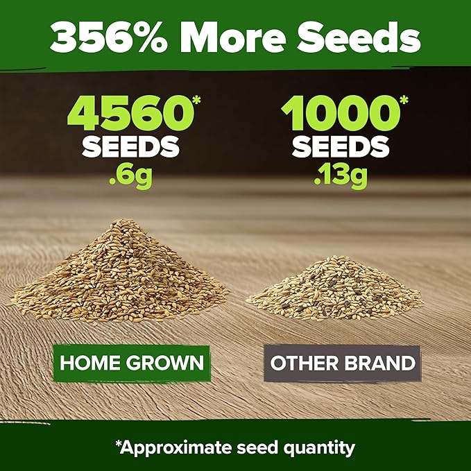 HOME GROWN German Chamomile Seed Pack – 4,560 Heirloom Seeds for Planting for Sustainable Gardens and Soothing Medicinal Herbal Teas (Matricaria chamomilla)