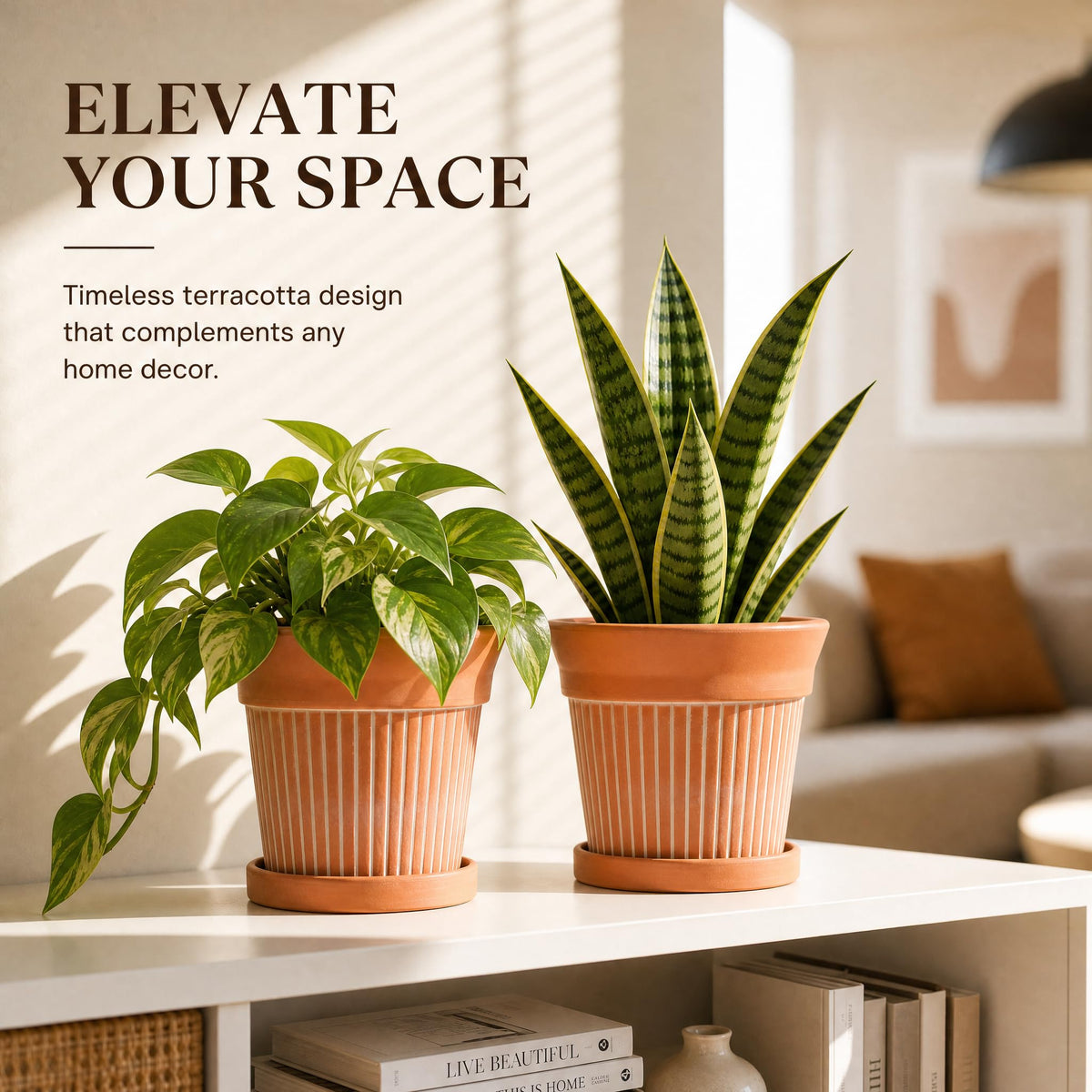 Cedilis 2 Pack 6 Inch Terracotta Pots with Drainage and Saucer