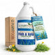 GS Plant Foods Liquid Fish & Kelp Fertilizer (1 Gallon) – Organic Material Review Institute Listed Natural Plant Food for Home Gardens, and Vegetables