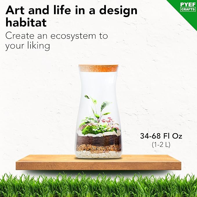 PYEF CRAFTS DIY Terrarium Kit for Plants – Build a Self‑Sustaining Closed Ecosystem – Supplies for Up to 68 oz (1‑2 Liter) Glass Jar – Succulents, Air Plants (Tillandsia), Fern – Jar Not Included