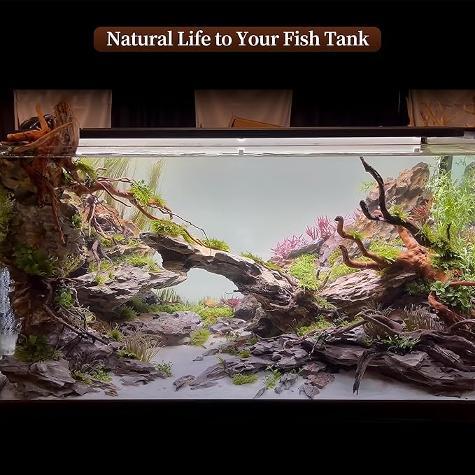 majoywoo Natural Driftwood for Aquarium Decor Fish Tank Decorations, Assorted Spider Wood Branch 7-11" 3 Pcs, Reptile Decor