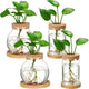 Layhit 4 Pcs Plants Propagation Stations vases Glass Planters with Wooden Lid and Bamboo Stand for Hydroponic Plants Gardening Gifts for Women Mom Home Office Tabletop Decoration(Funny Style)