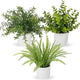 Hollyone 3 Pack Fake Plants Artificial Plants in Pots Small Faux Plant Eucalyptus Rosemary Boston Fern Potted Plant Greenery Aesthetic Indoor Home Decor Bathroom Bedroom Table Shelf Office Decorations