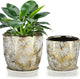 Oairse 6 +5 inch Ceramic Planter Pots Set of 2 Small Round Flower Pots with Drainage Hole and Ceramic Tray for Succulents Cactus Indoor Outdoor Garden Home Windowsill