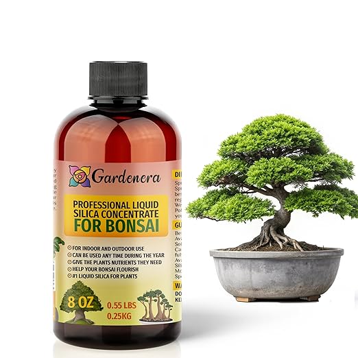 𝐏𝐑𝐄𝐌𝐈𝐔𝐌 Liquid Silica Plant Supplement - 8oz (250mL) - Bonsai Plants Liquid Silica Boost Fertilizer - Stronger Stems & Healthy Leaves for Indoor & Outdoor Bonsai Plants (Makes 45 Gallons)