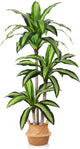 Ferrgoal Artificial Plants, 5 Ft Dracaena Tree Faux Plants Indoor Outdoor Decor Fake Tree with Woven Seagrass Basket Plants for Home Decor Office Living Room Porch Patio Housewarming