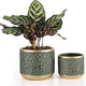 6 +4.4 Inch Cement Planter Decorative Pots with Drainage Hole for All House Plants, Succulents, Flowers, and Cactus (Green)