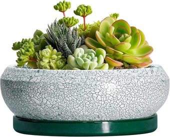 EPFamily Succulent Pots - 6 Inch Ceramic Pots for Succulent Indoor Outdoor, Small Plant Pot with Drainage Hole and Saucer, Bonsai Pot, Modern Round Planter, Window Decor, Housewarming Gifts, Green