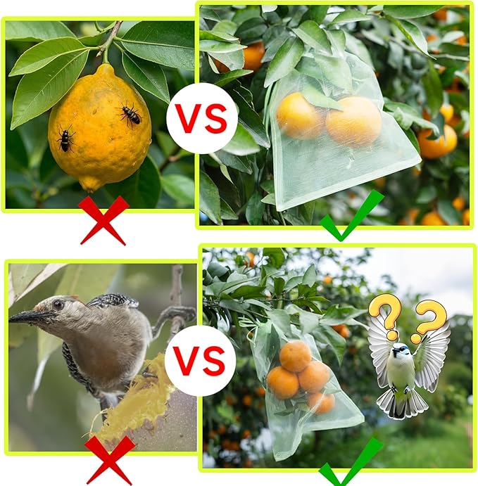 100PCS Fruit Protection Bags with Drawstring, 6x8 Inch Green Organza Produce Bags for Fruit Trees, Mesh Netting for Garden Protection