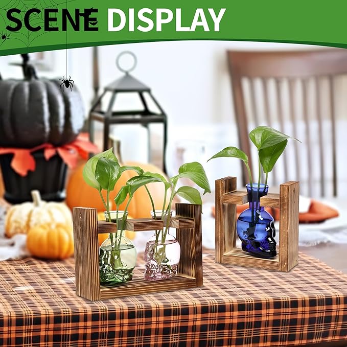 2+1 Plant Terrarium Plant Propagation Station Gifts for Father Halloween Skull Home Office Decor with Wooden Stand